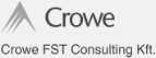 Crowe FTS Consulting